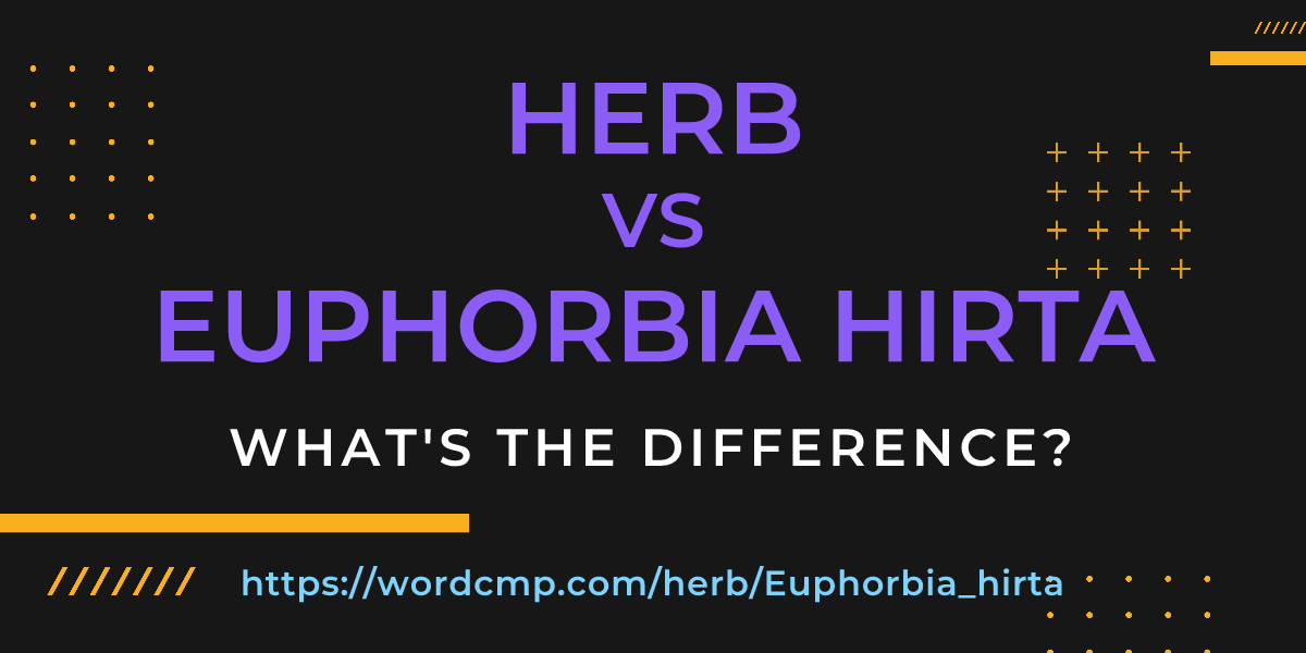 Difference between herb and Euphorbia hirta