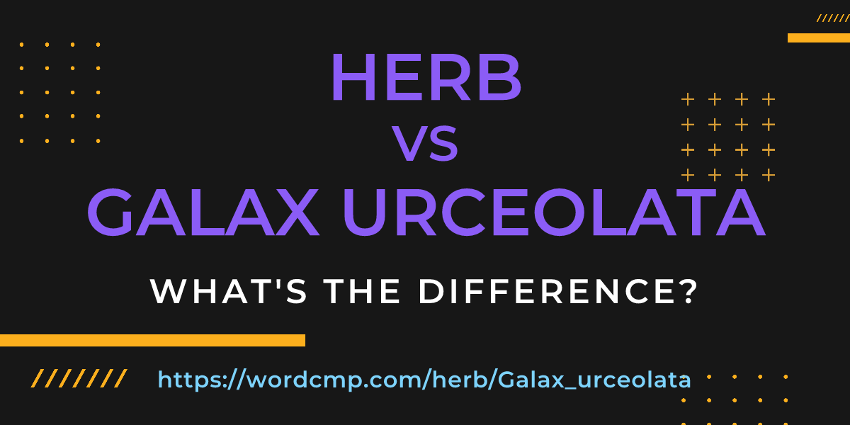 Difference between herb and Galax urceolata