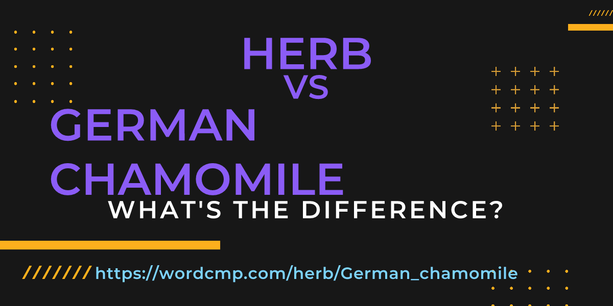 Difference between herb and German chamomile