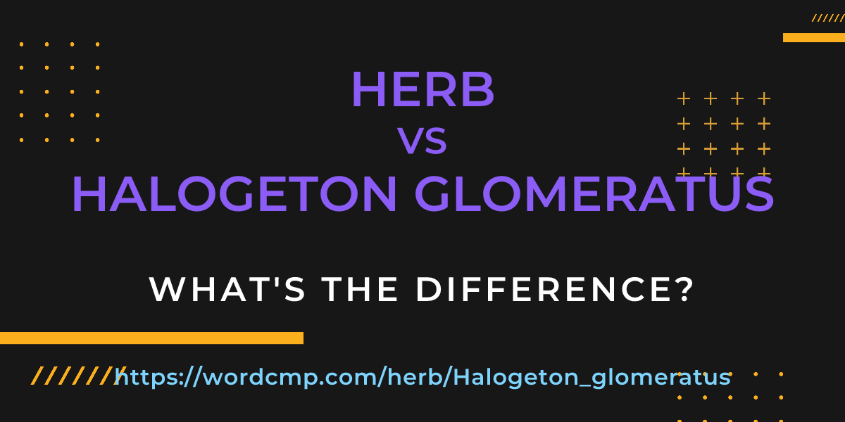 Difference between herb and Halogeton glomeratus