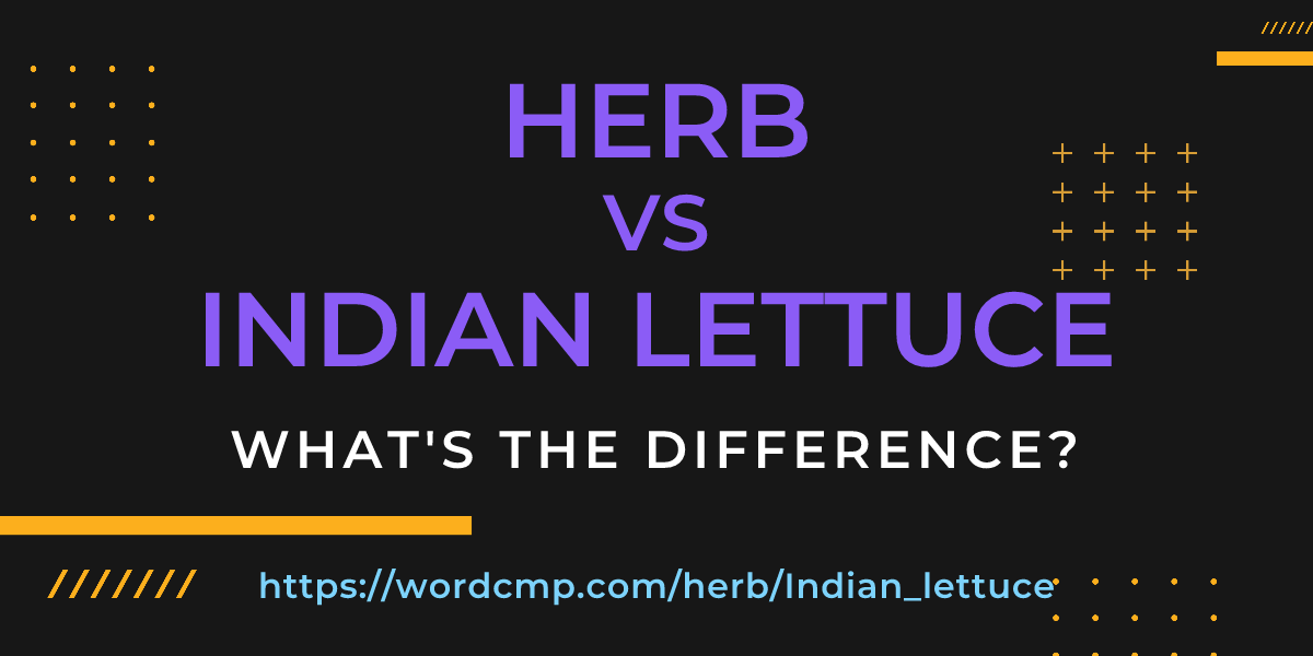 Difference between herb and Indian lettuce