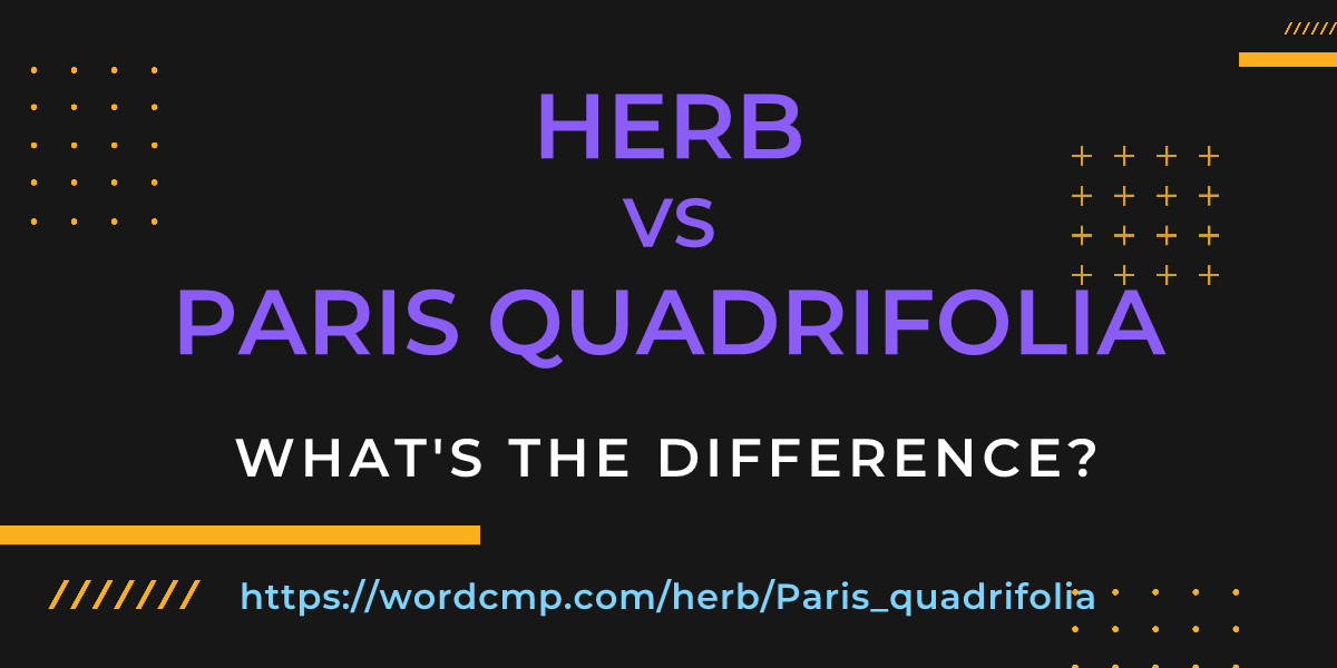 Difference between herb and Paris quadrifolia