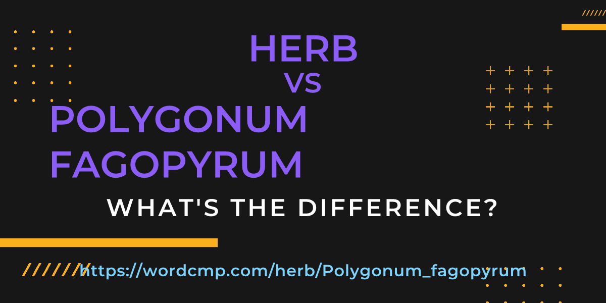 Difference between herb and Polygonum fagopyrum