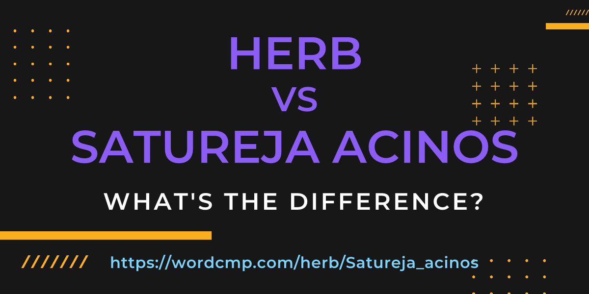 Difference between herb and Satureja acinos