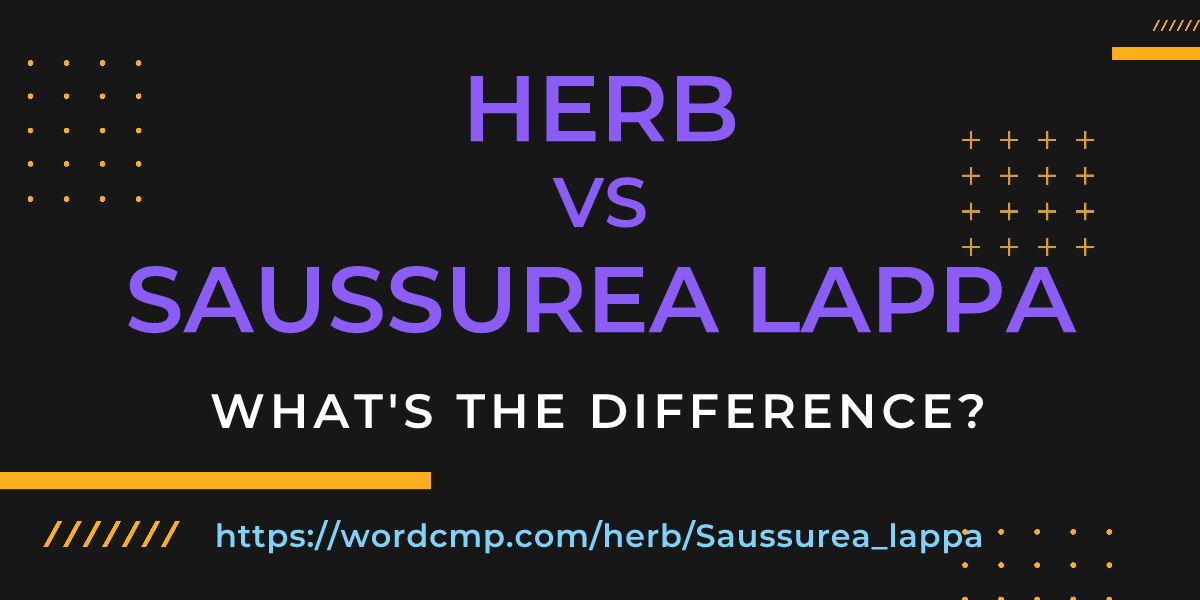 Difference between herb and Saussurea lappa