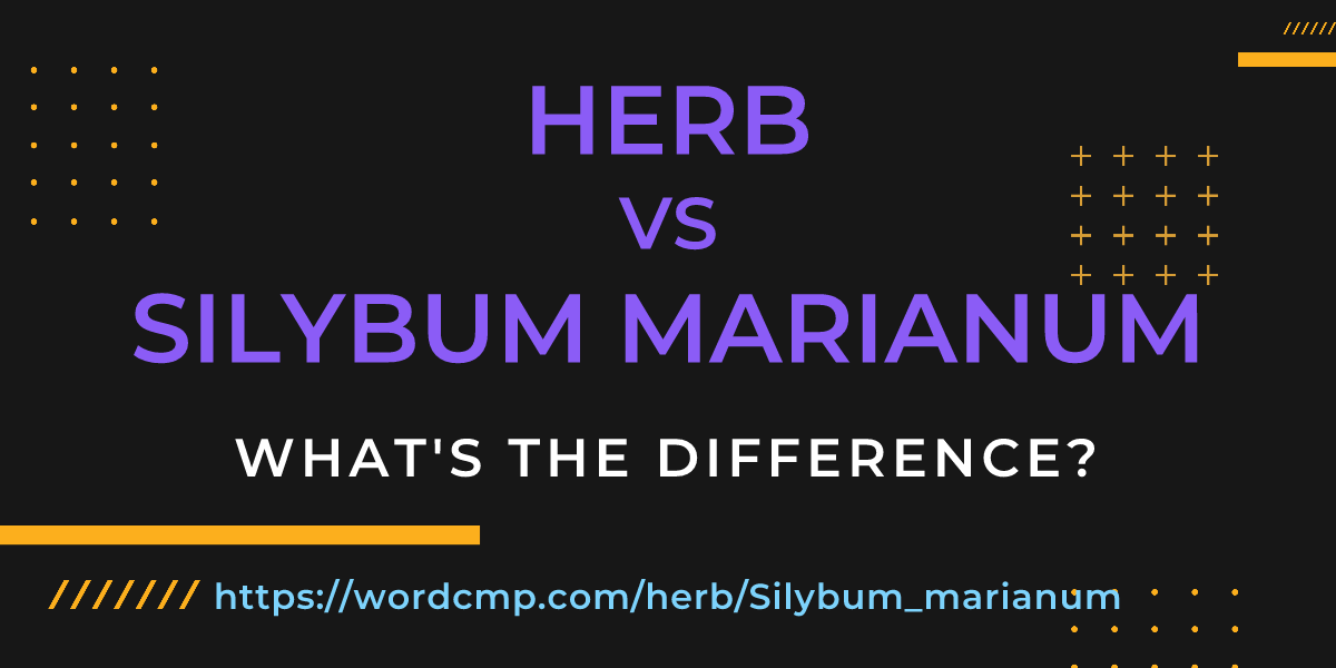 Difference between herb and Silybum marianum