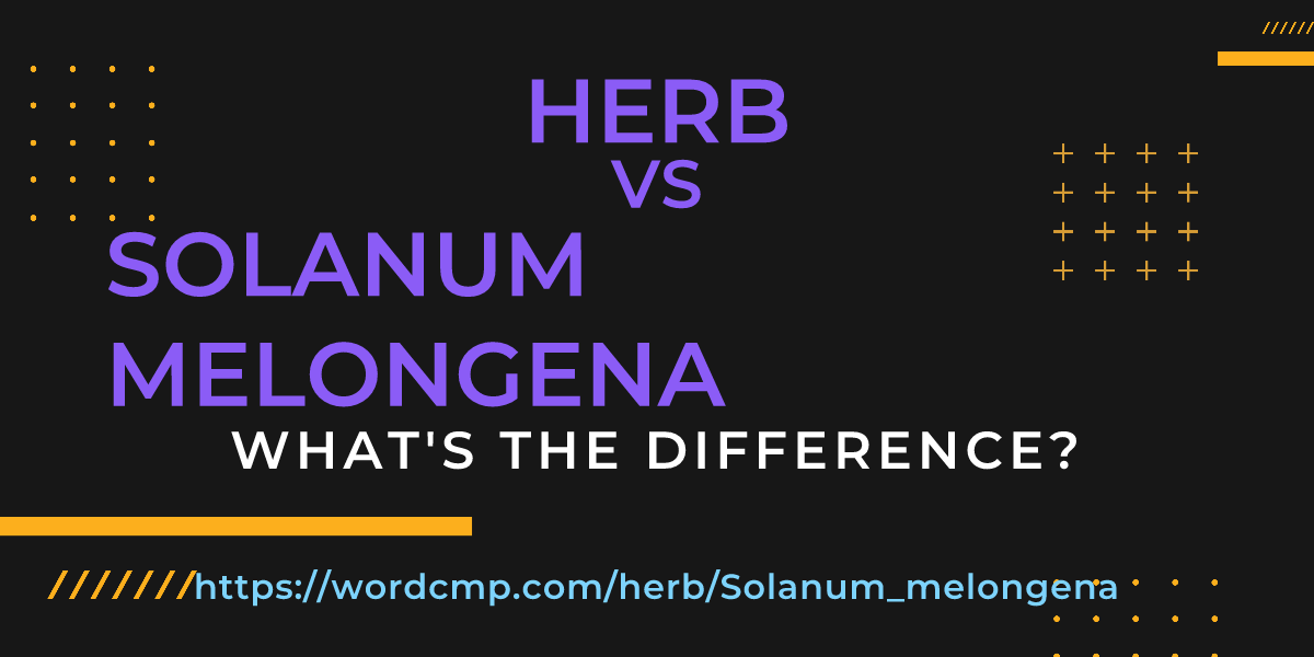 Difference between herb and Solanum melongena