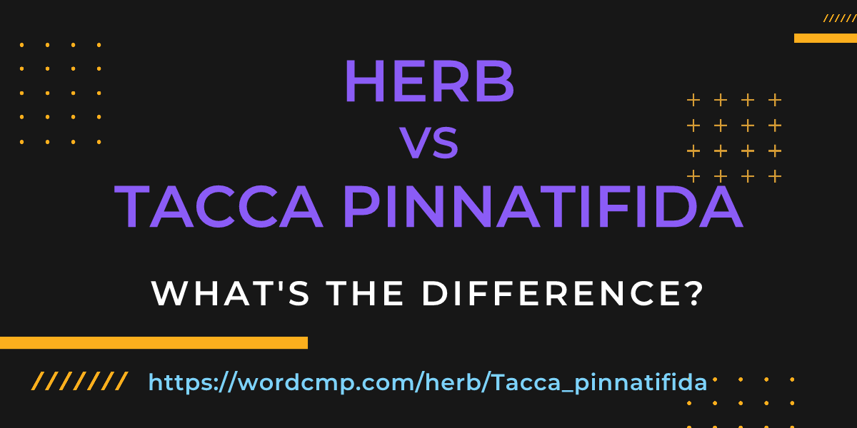 Difference between herb and Tacca pinnatifida