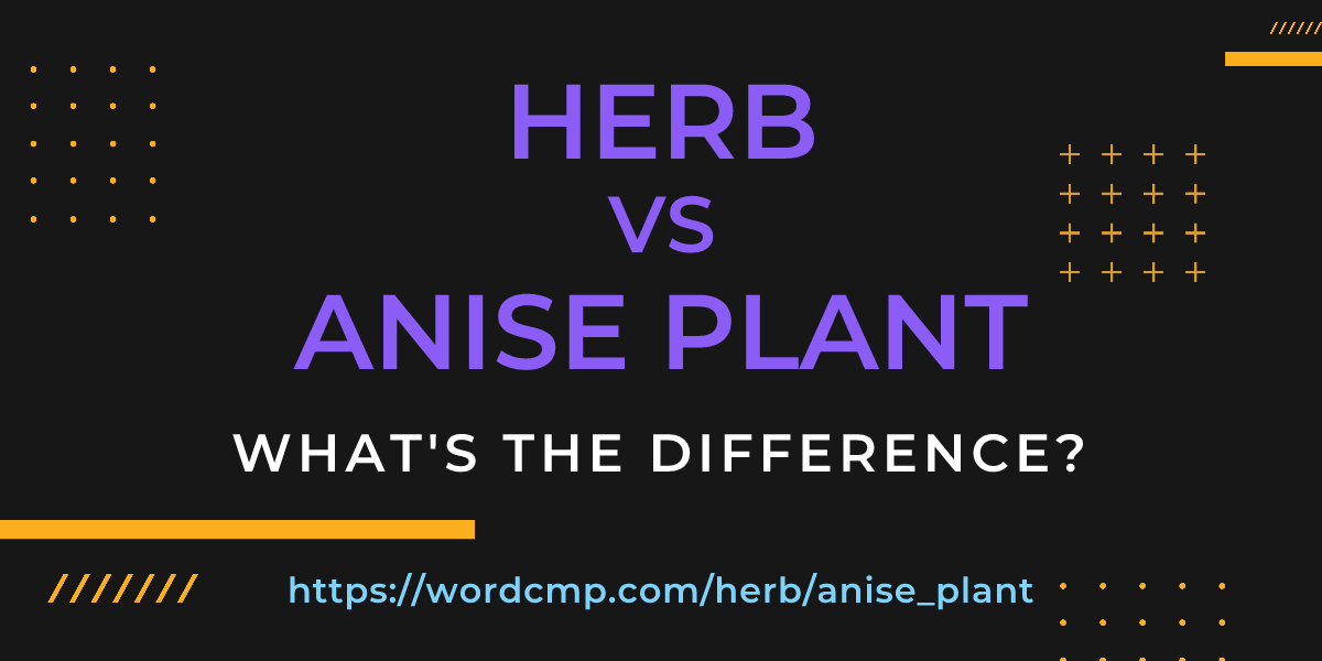 Difference between herb and anise plant