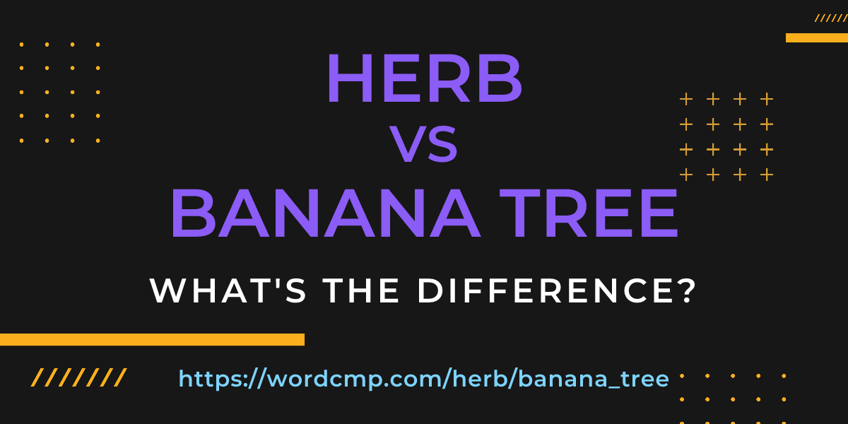 Difference between herb and banana tree