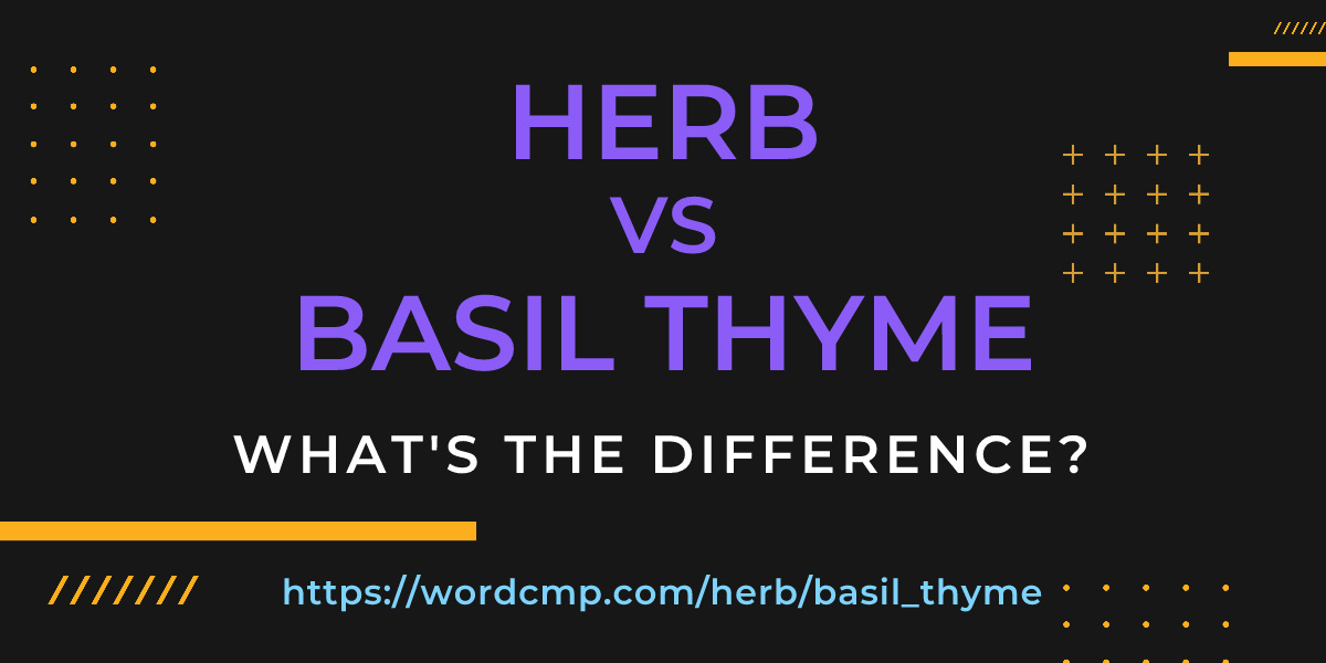 Difference between herb and basil thyme