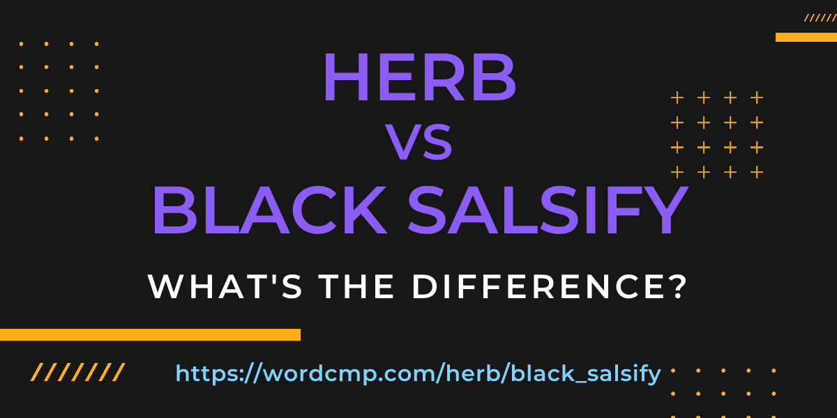 Difference between herb and black salsify