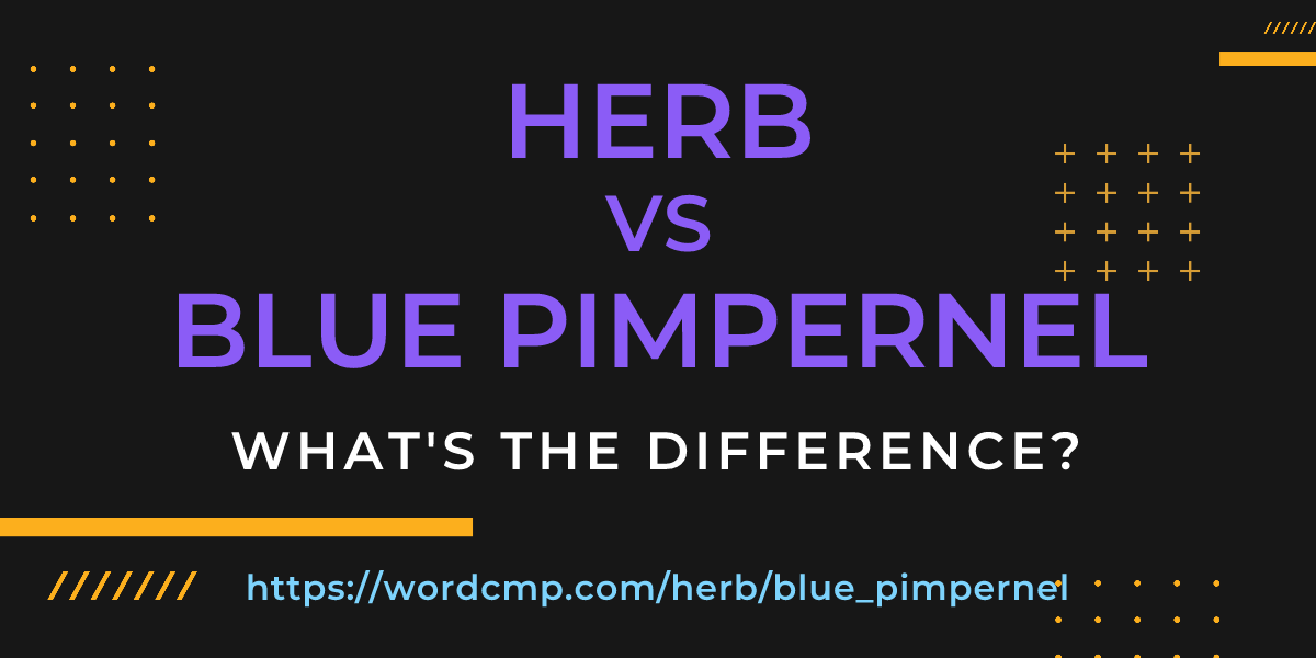 Difference between herb and blue pimpernel