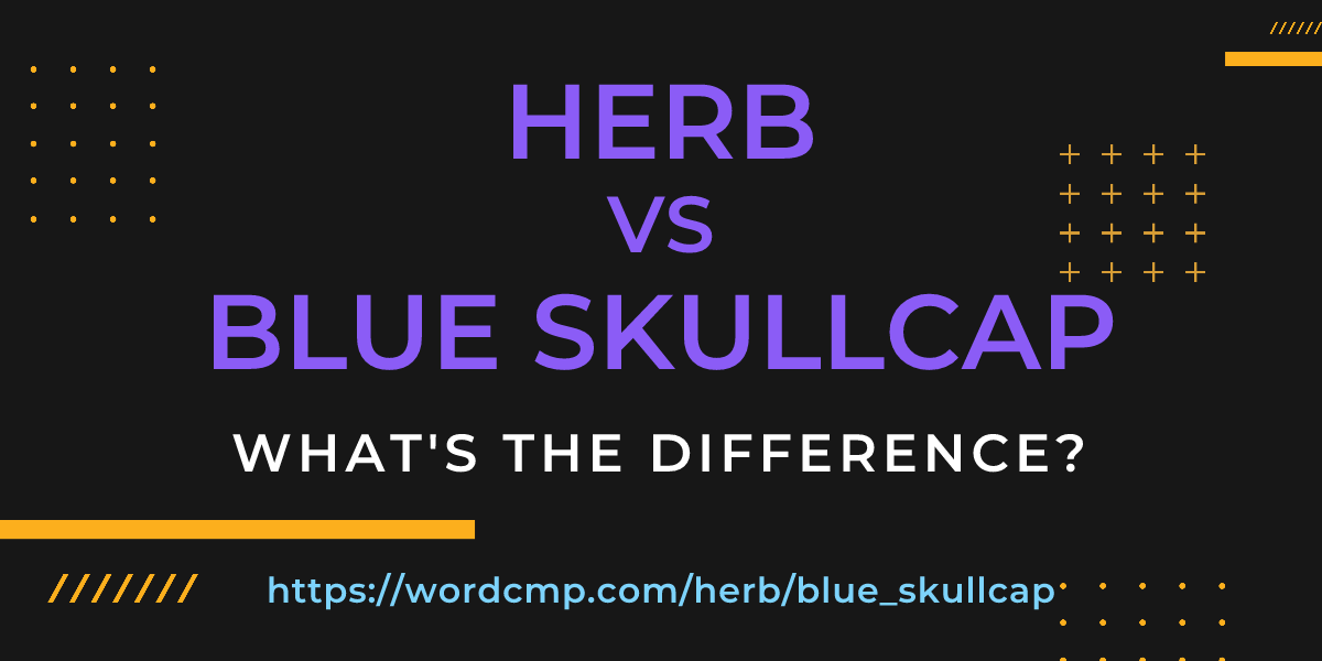 Difference between herb and blue skullcap
