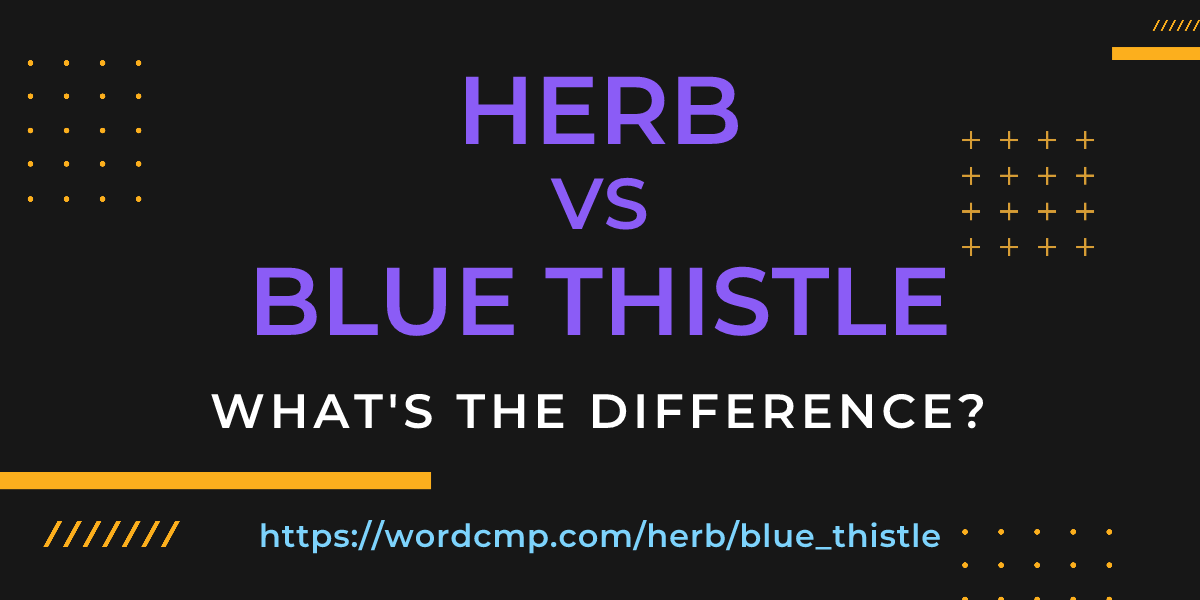 Difference between herb and blue thistle