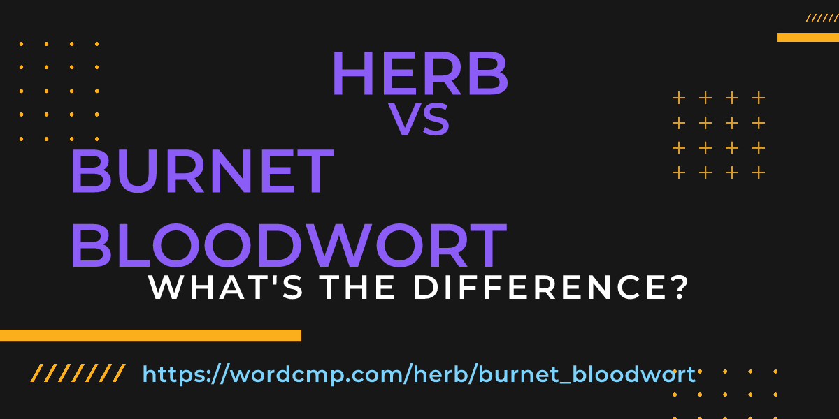 Difference between herb and burnet bloodwort