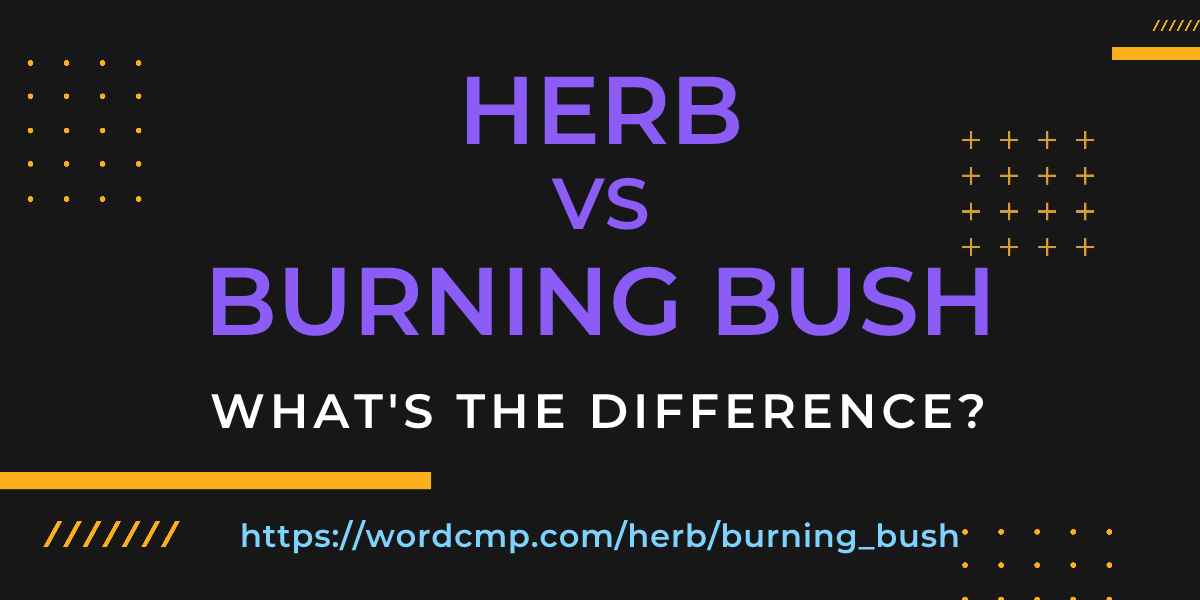 Difference between herb and burning bush