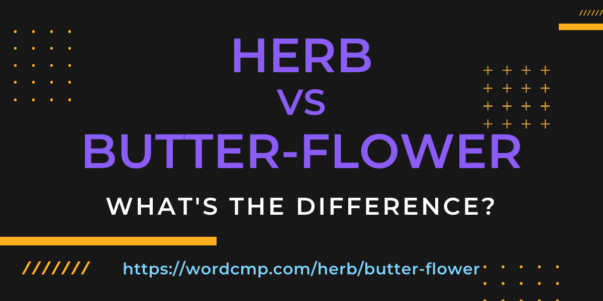 Difference between herb and butter-flower