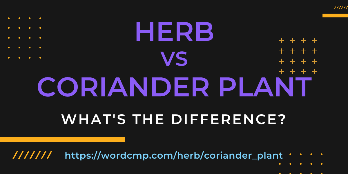 Difference between herb and coriander plant