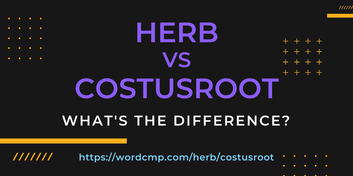 Difference between herb and costusroot