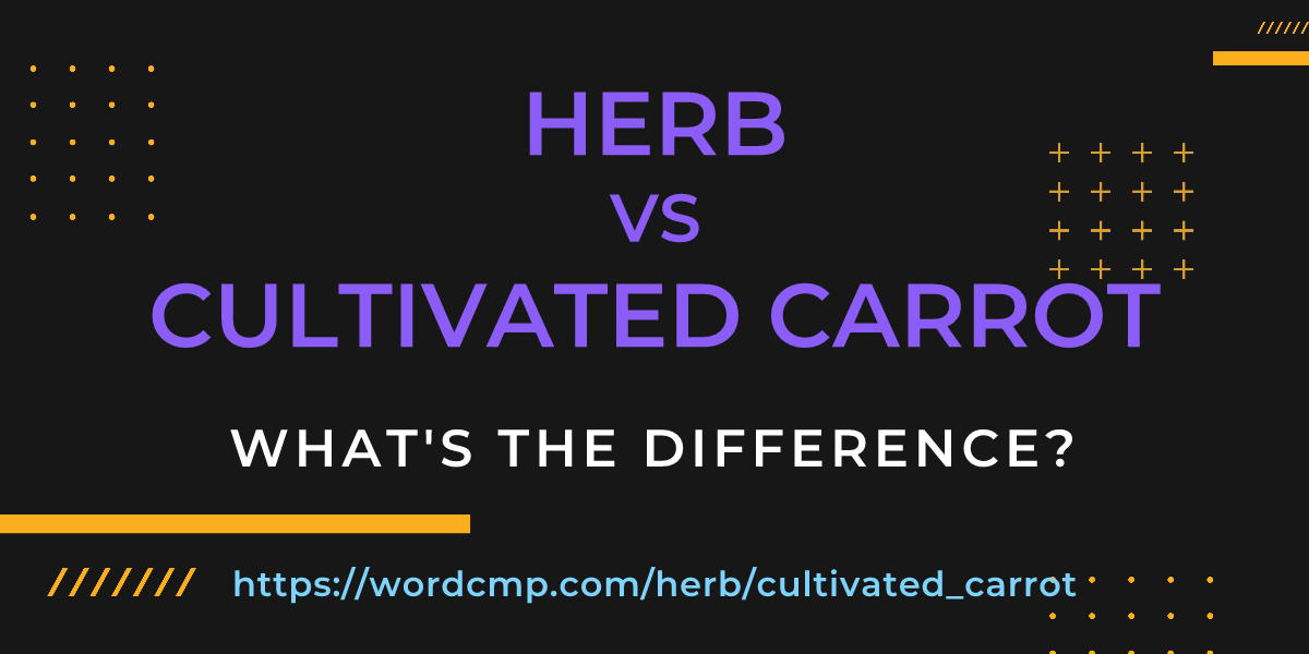Difference between herb and cultivated carrot