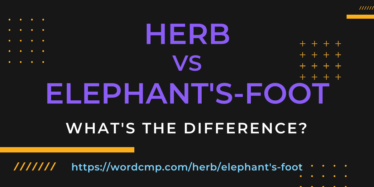 Difference between herb and elephant's-foot