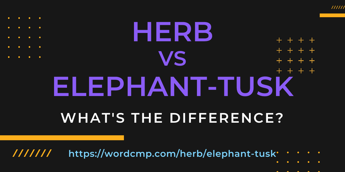 Difference between herb and elephant-tusk
