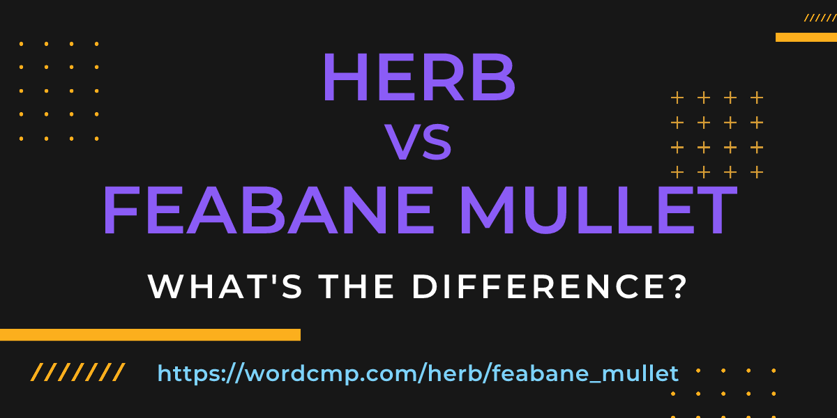 Difference between herb and feabane mullet