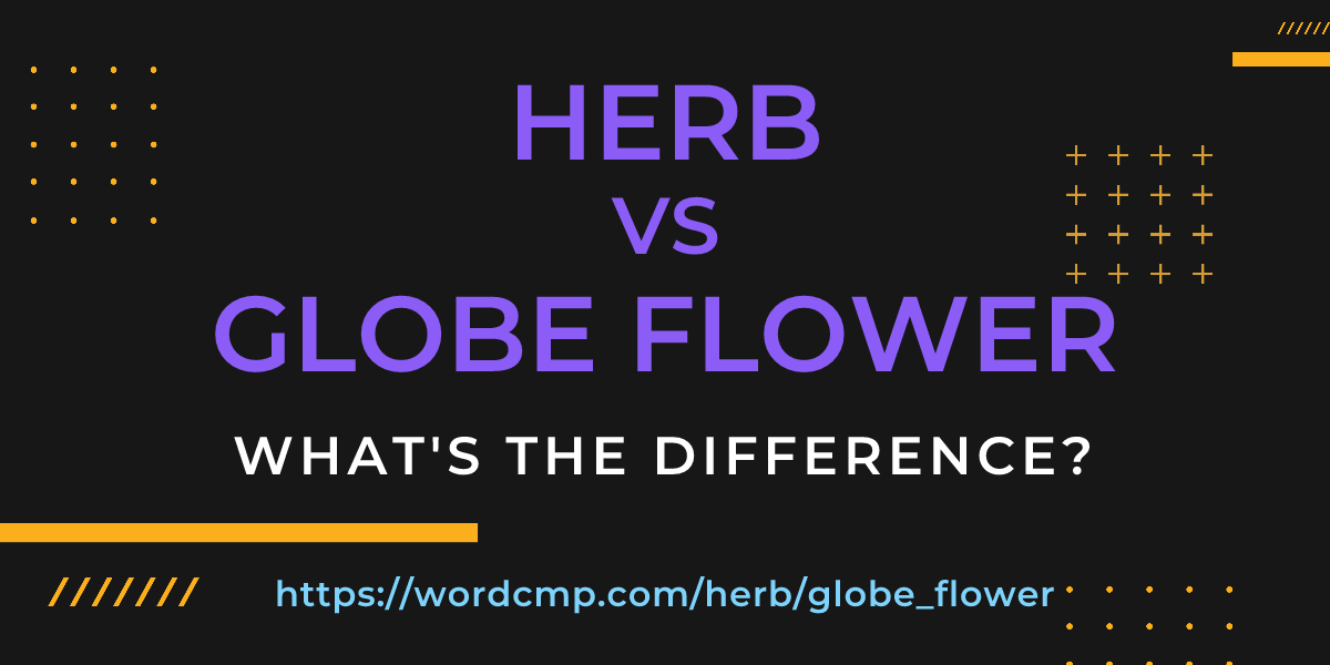 Difference between herb and globe flower