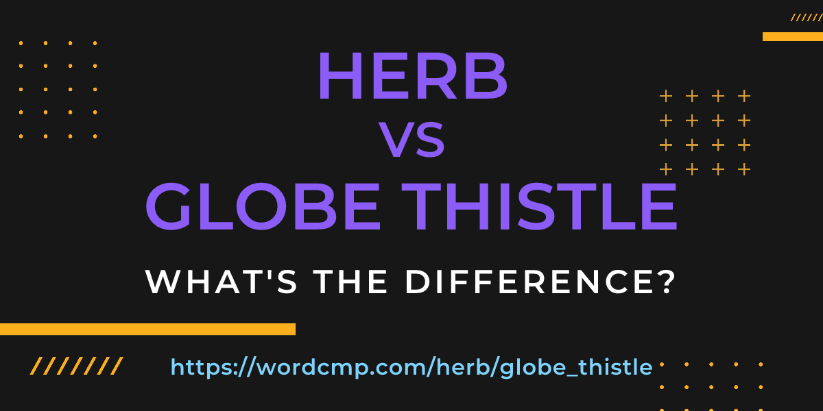 Difference between herb and globe thistle