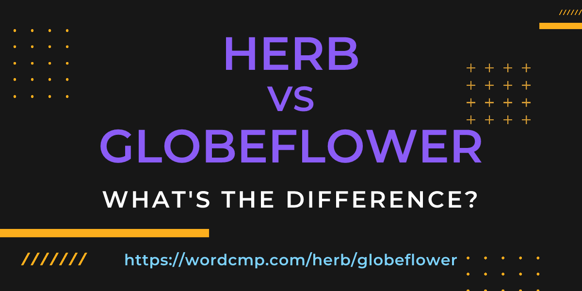 Difference between herb and globeflower