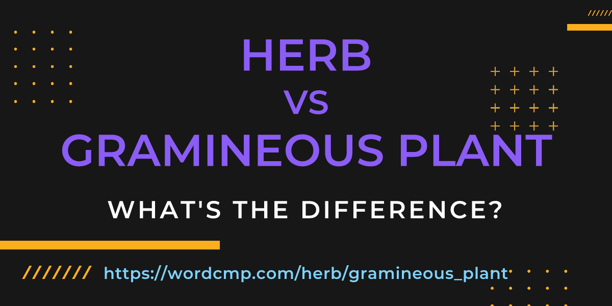 Difference between herb and gramineous plant