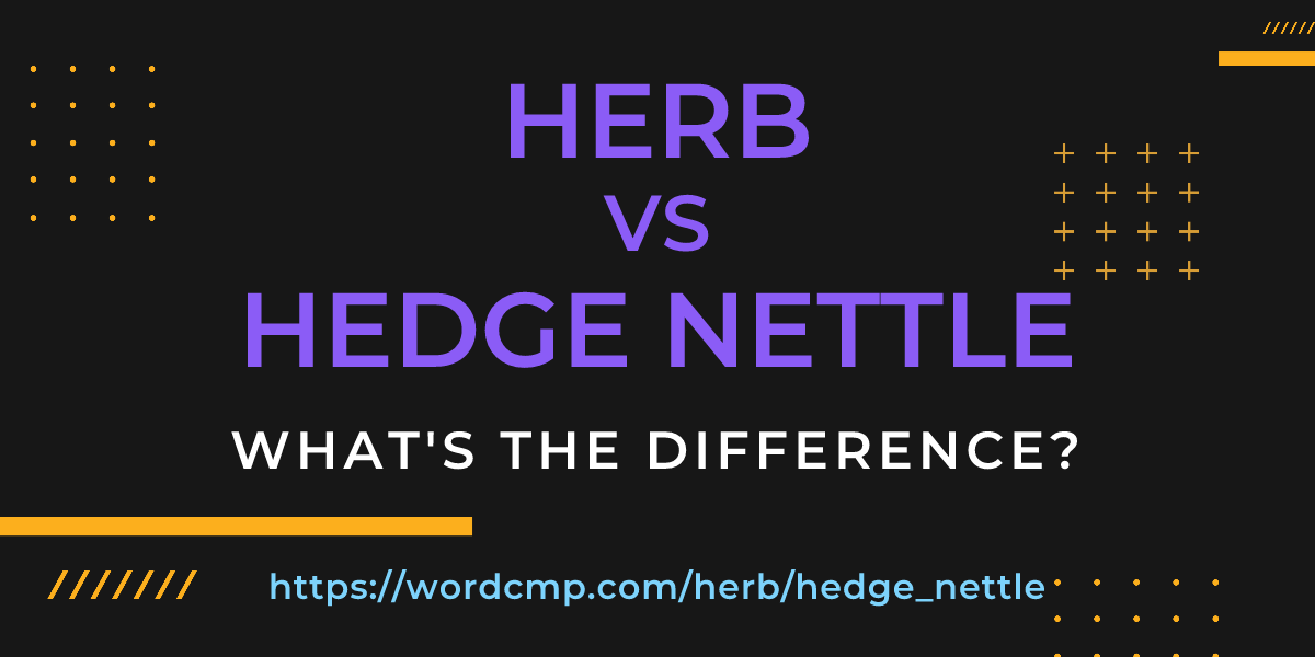 Difference between herb and hedge nettle