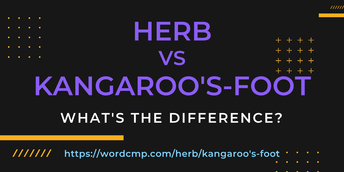 Difference between herb and kangaroo's-foot