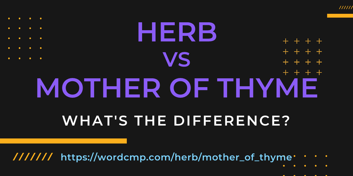 Difference between herb and mother of thyme