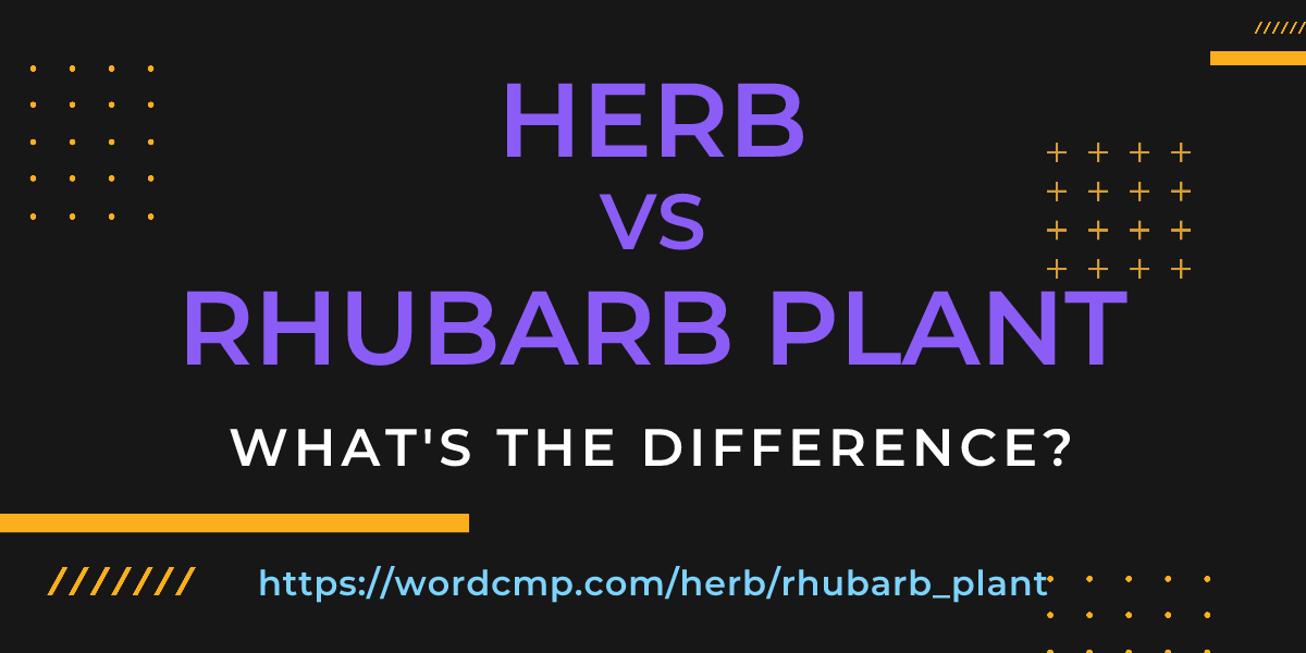 Difference between herb and rhubarb plant