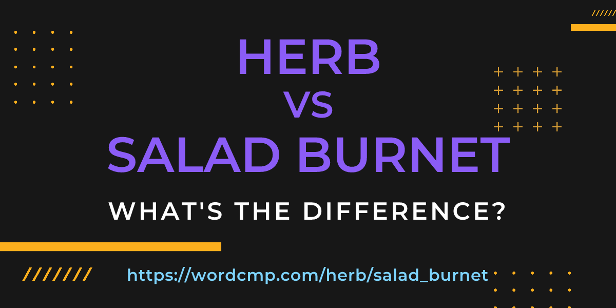 Difference between herb and salad burnet