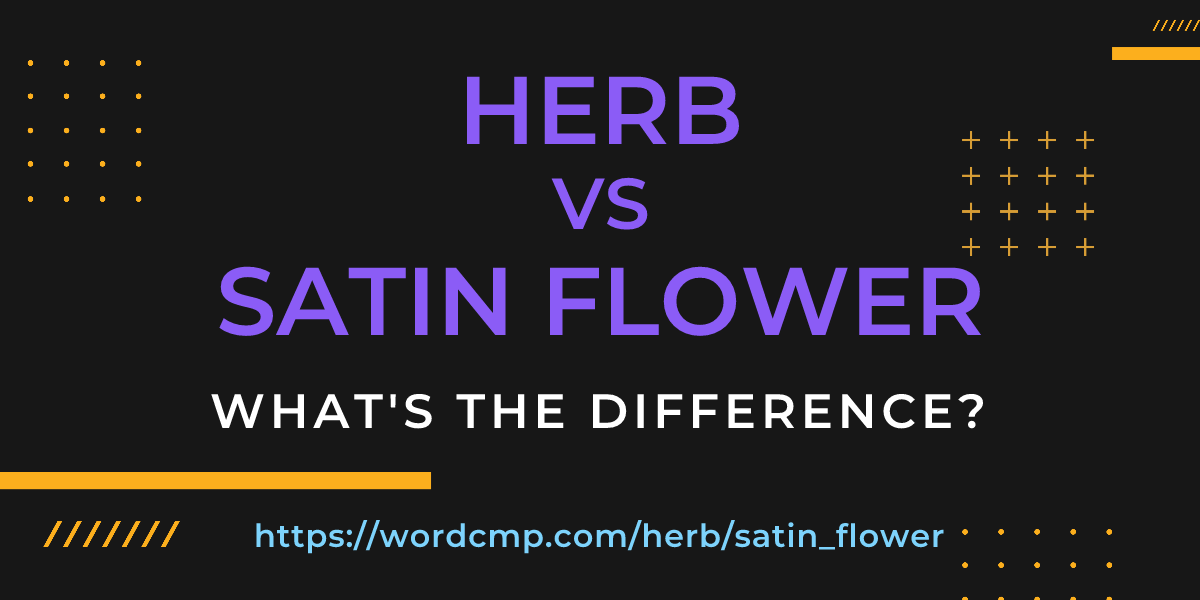 Difference between herb and satin flower