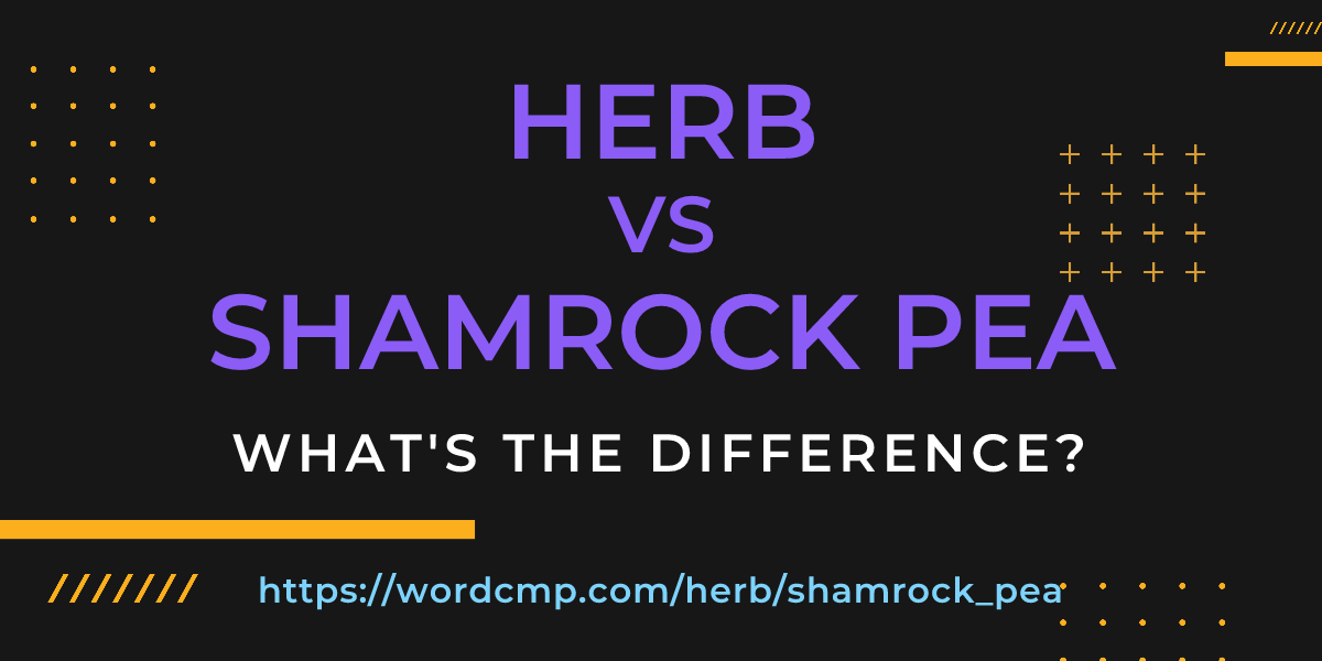 Difference between herb and shamrock pea
