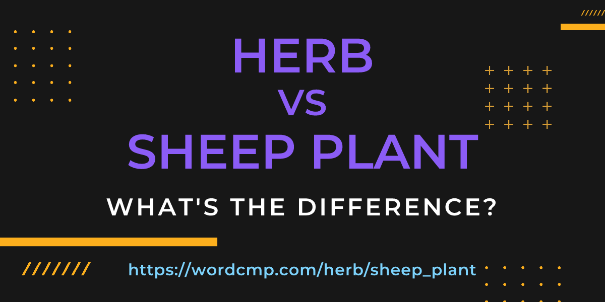 Difference between herb and sheep plant