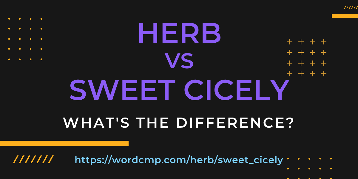 Difference between herb and sweet cicely