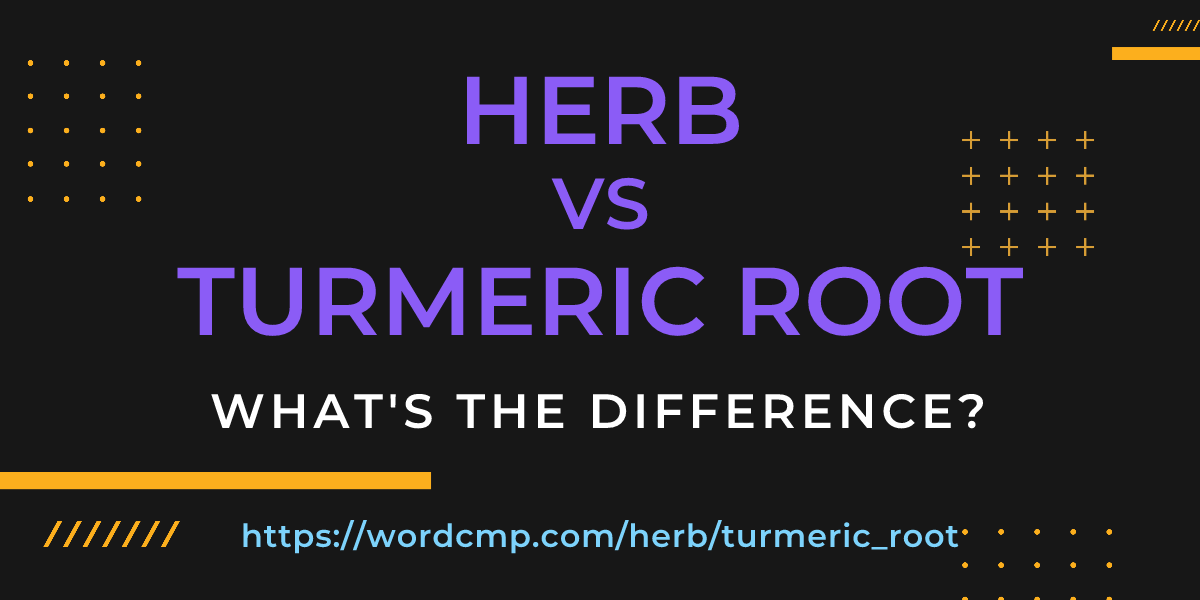 Difference between herb and turmeric root