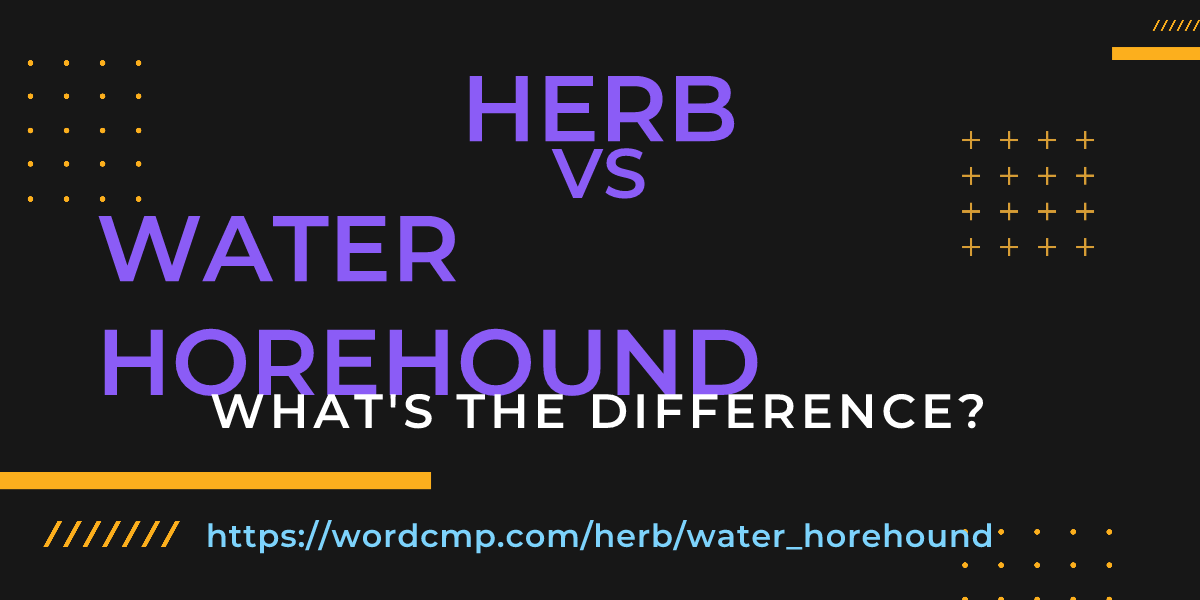 Difference between herb and water horehound