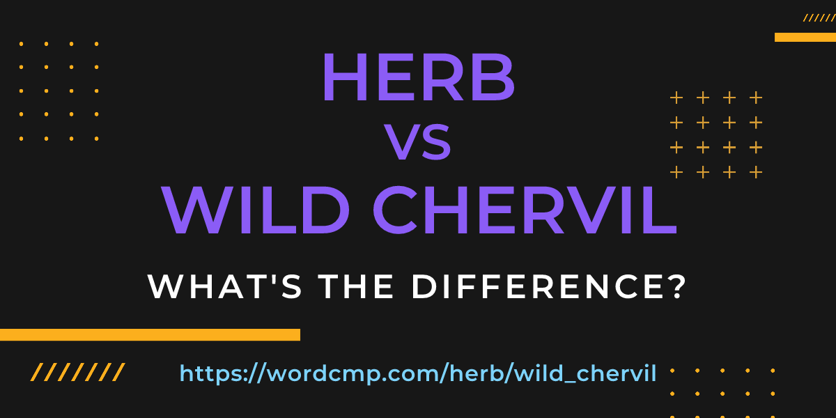 Difference between herb and wild chervil