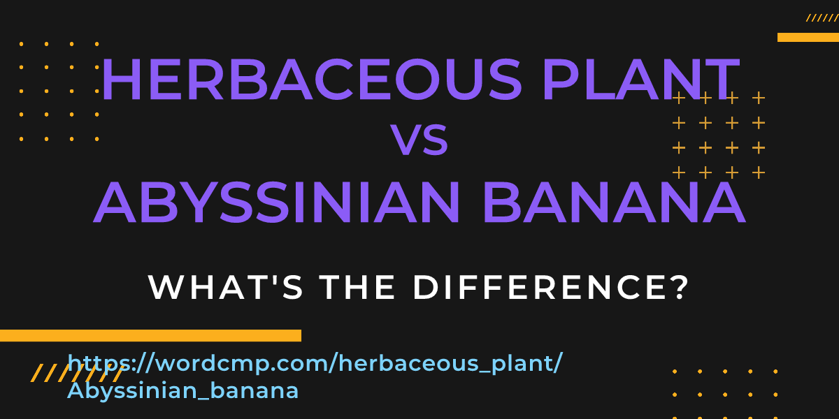 Difference between herbaceous plant and Abyssinian banana
