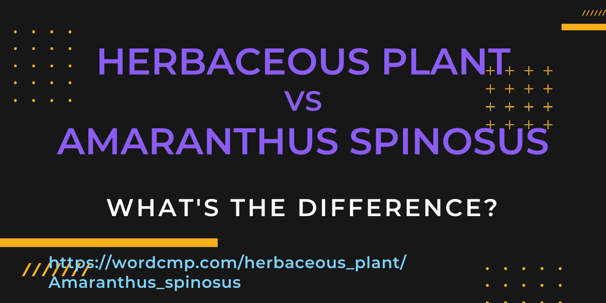 Difference between herbaceous plant and Amaranthus spinosus