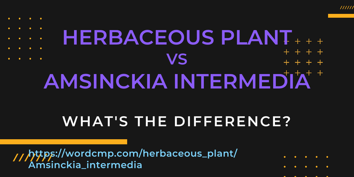 Difference between herbaceous plant and Amsinckia intermedia