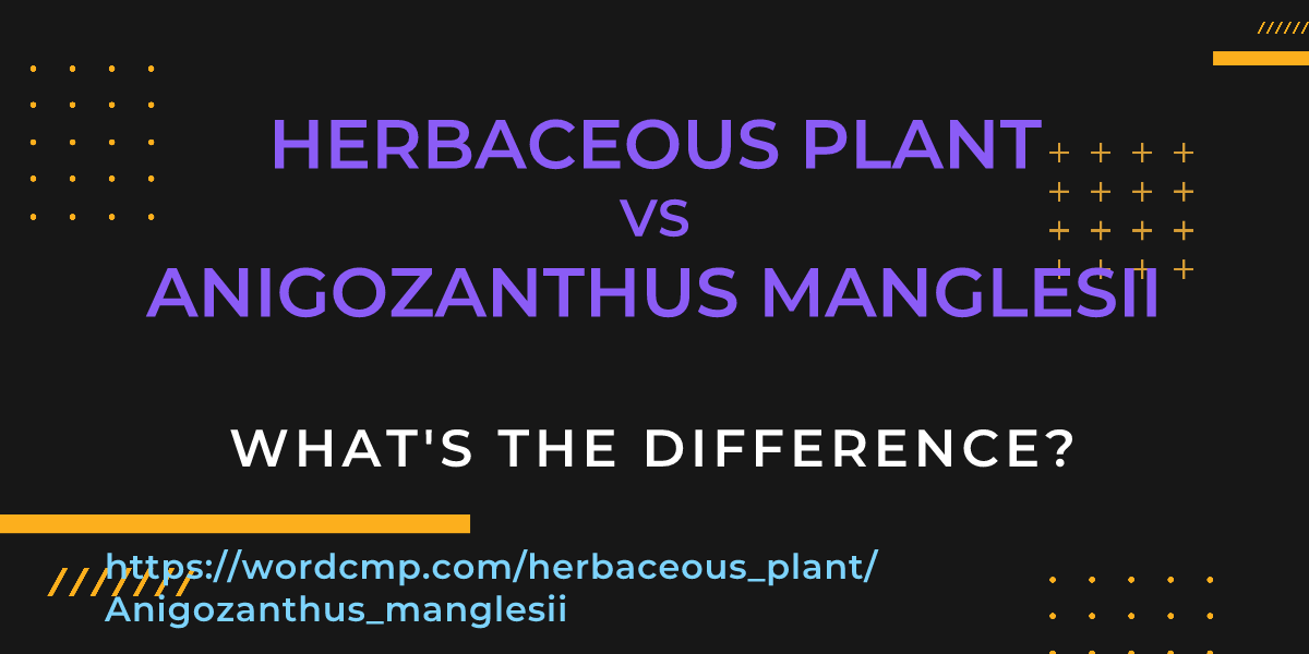 Difference between herbaceous plant and Anigozanthus manglesii