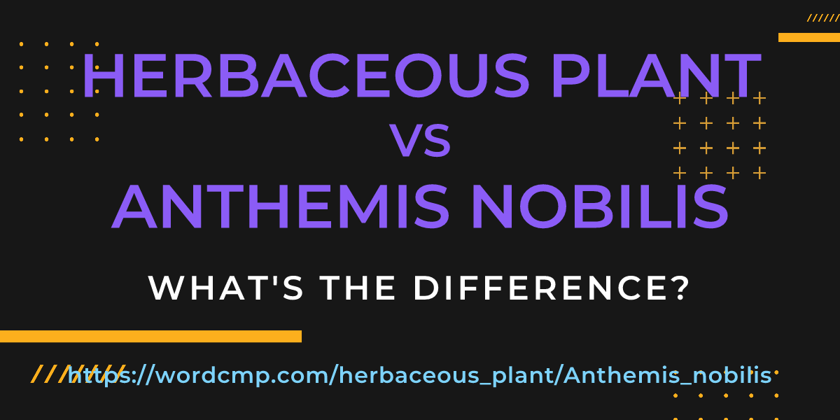 Difference between herbaceous plant and Anthemis nobilis