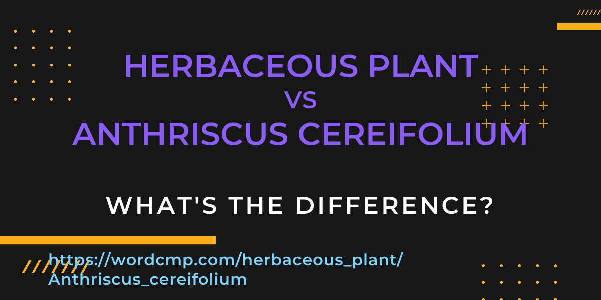 Difference between herbaceous plant and Anthriscus cereifolium